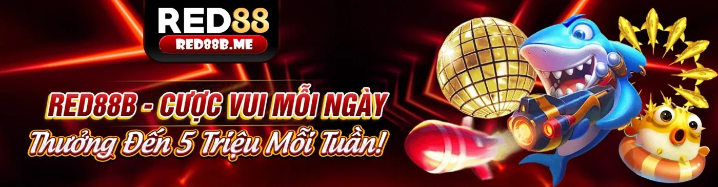 Hình ảnh chính blog Onebet Win - Cá cược thể thao và casino trực tuyến